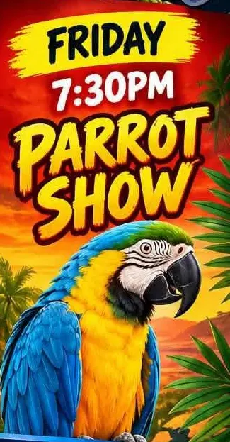 Parrot Show à Scallywags Family Showbar, Costa Adeje – affiche d'événement à Tenerife